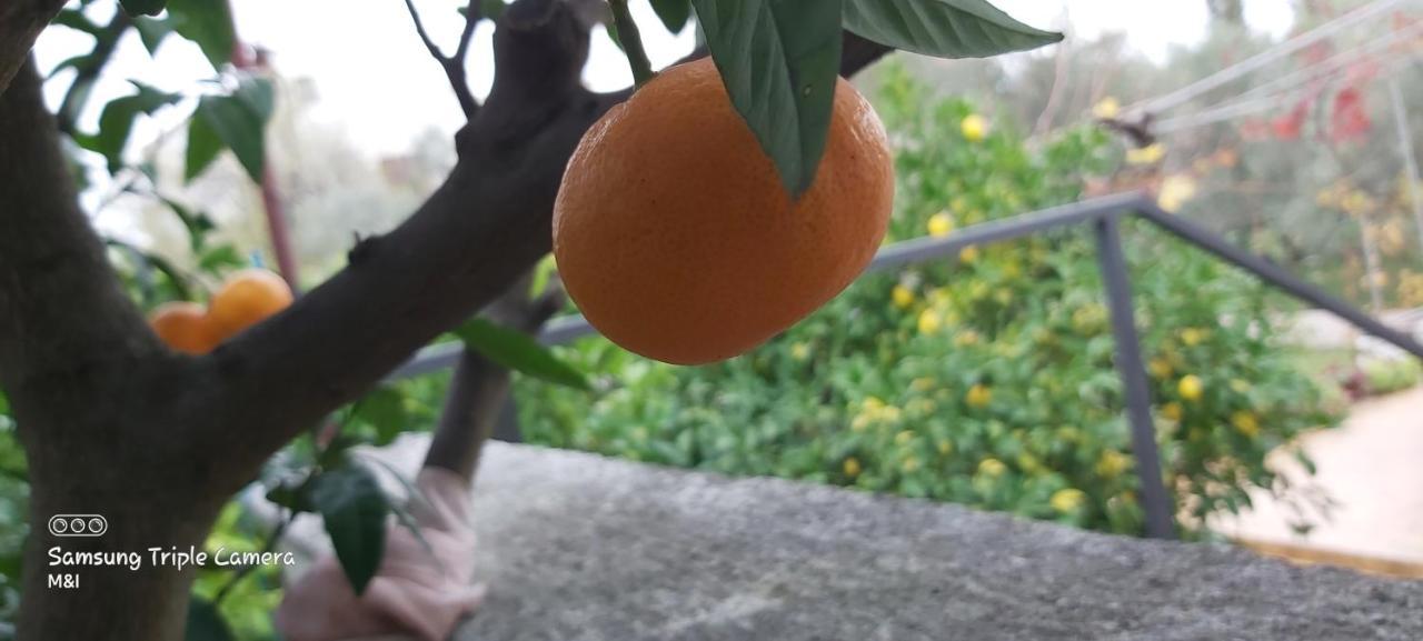 Willa Vecchia Oliva,Kuljica Kukljica Zewnętrze zdjęcie